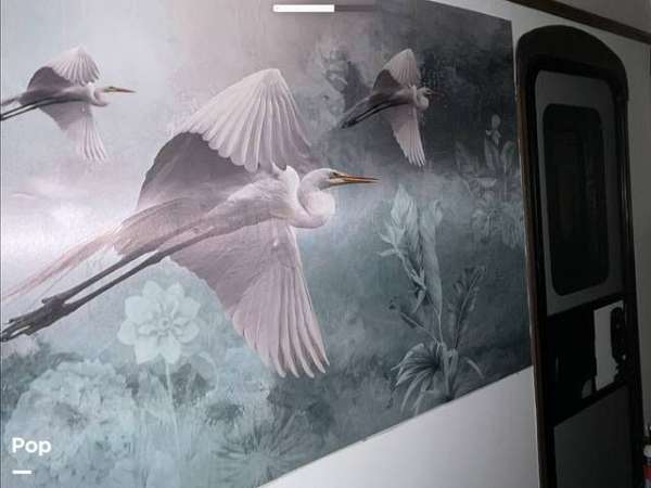 Gallery Image #4